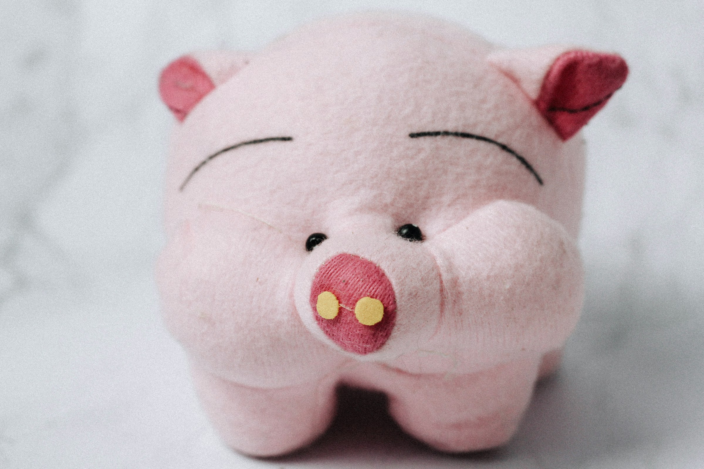 Pink stuffed pig toy illustrating the Adventures of Piggy story