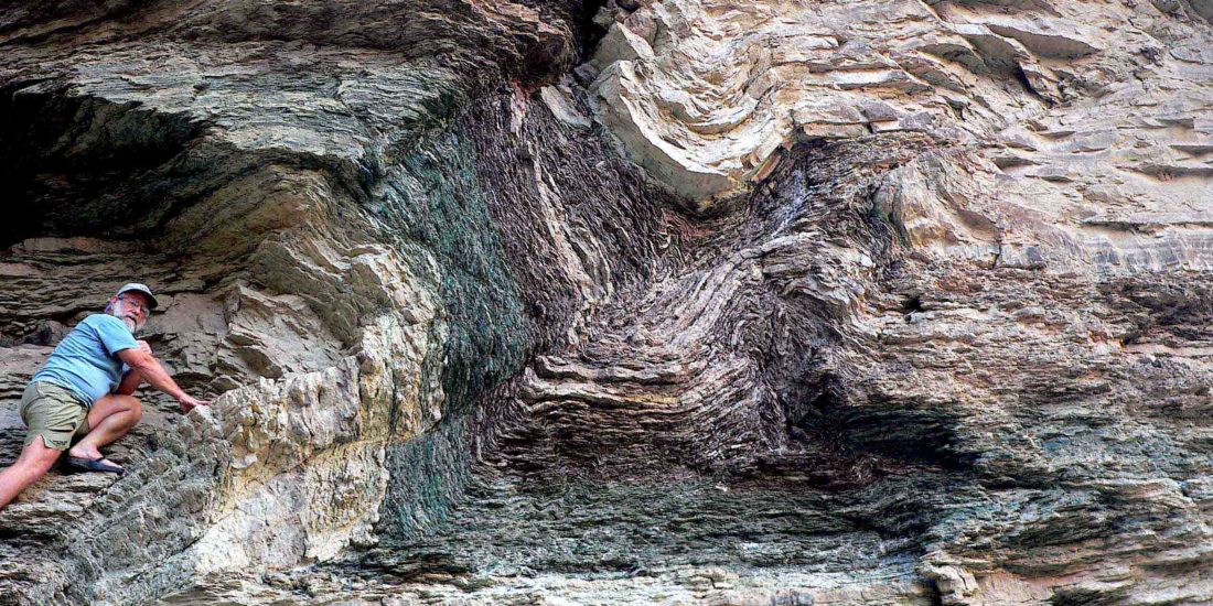 Whitmore Fold in the Bright Angel Shale