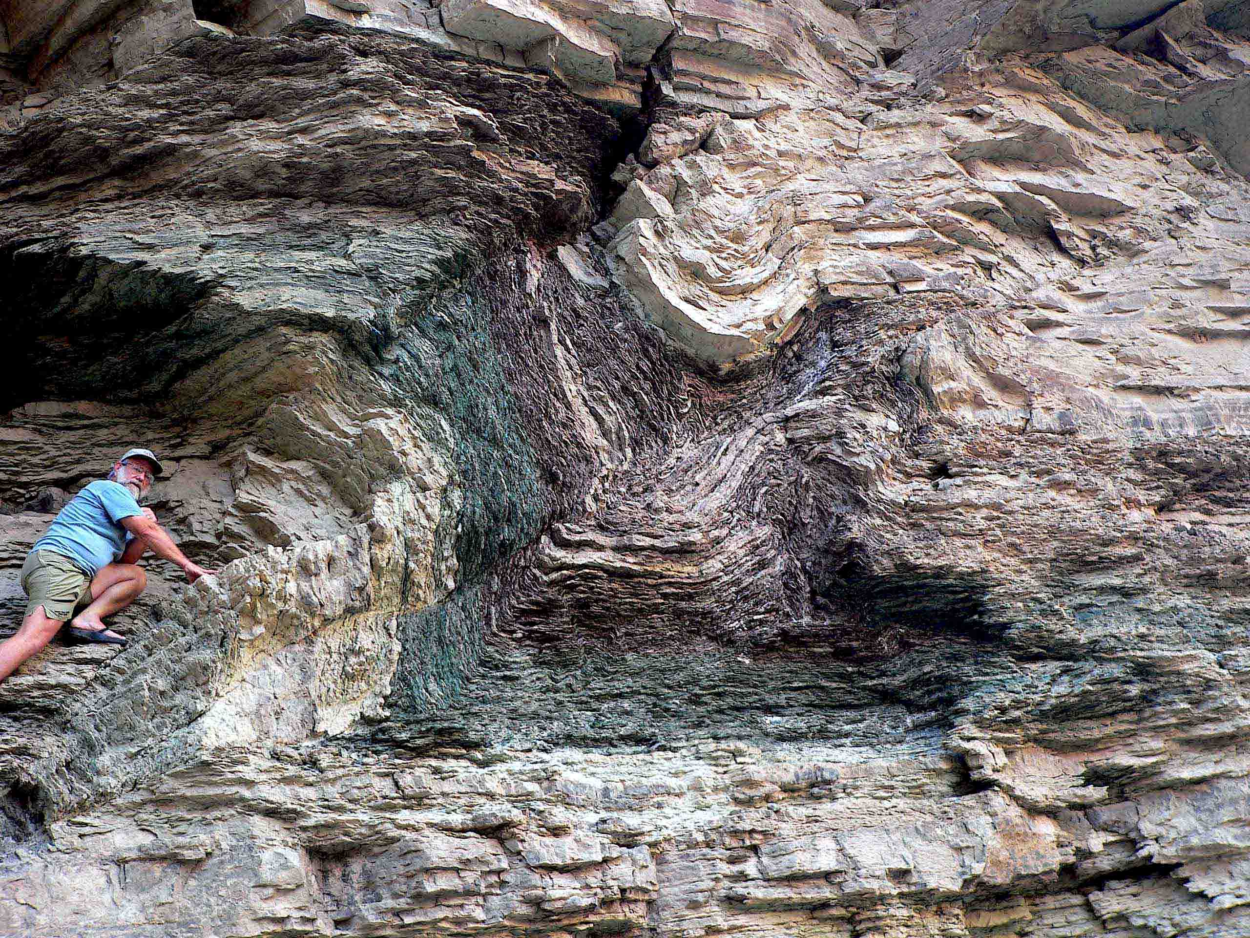 Whitmore Fold in the Bright Angel Shale