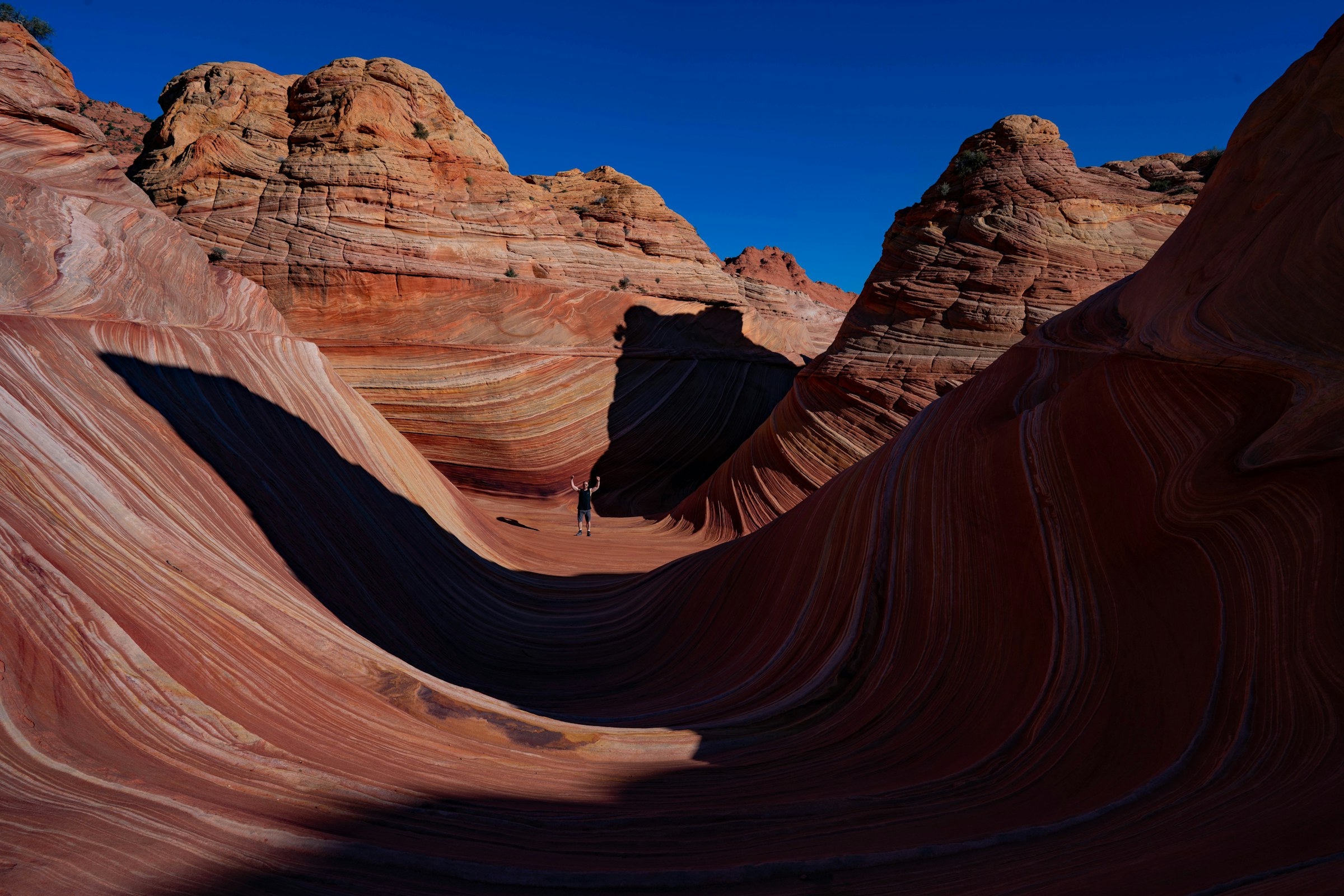 The Wave sandstone formation in northern Arizona