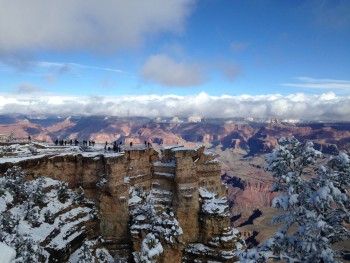 Snow along the rim of Grand Canyon