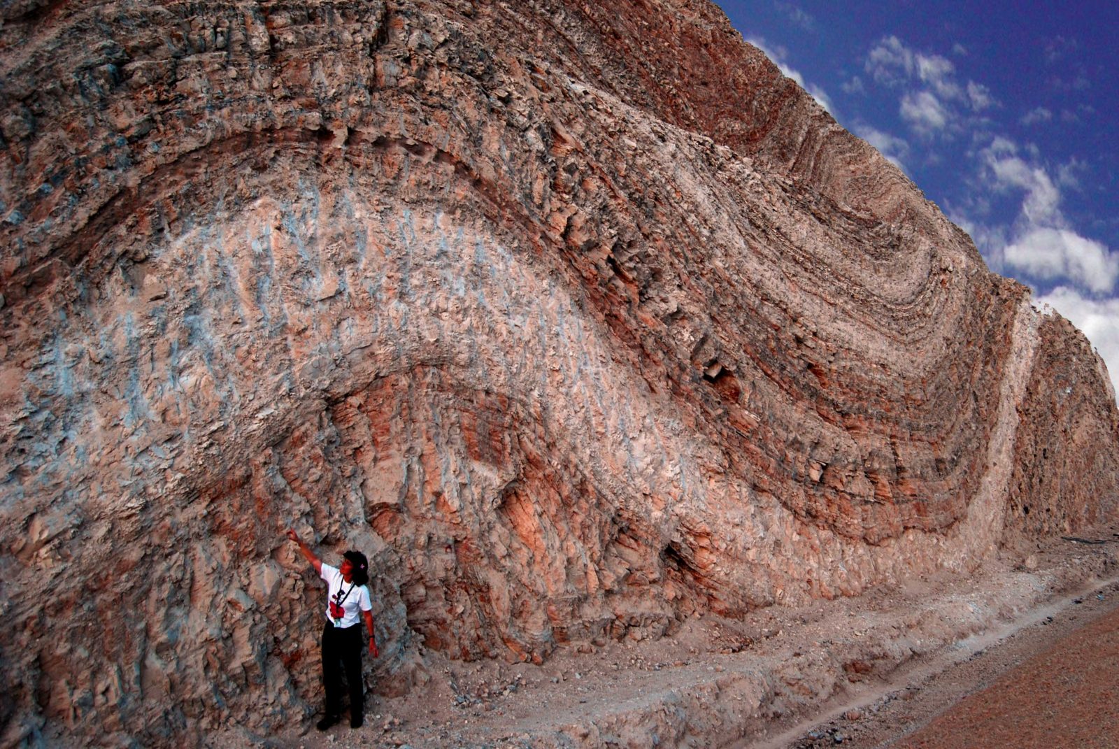 Folded sedimentary rock layers near Jerusalem Israel