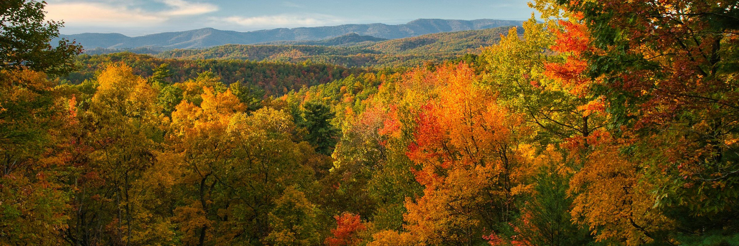 Colorful autumn forest and mountain ridges in Great Smoky Mountains National Park