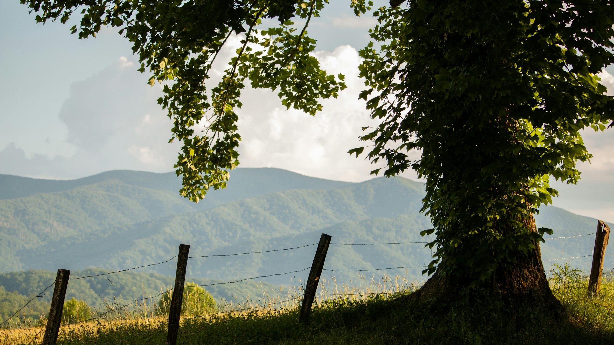 Cades Cove meadow and mountain landscape in Great Smoky Mountains National Park.