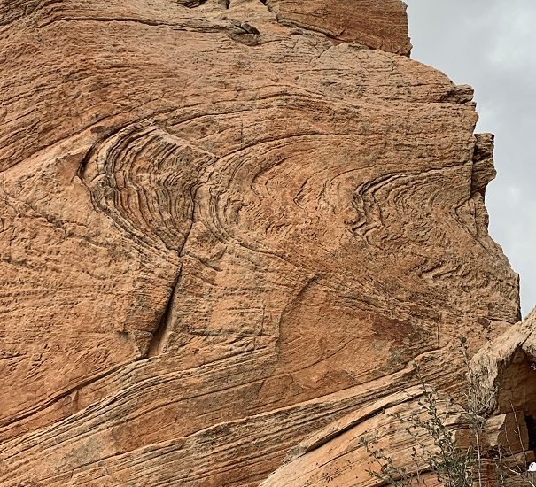 Lizard Head Forsythe Fold in Sedona