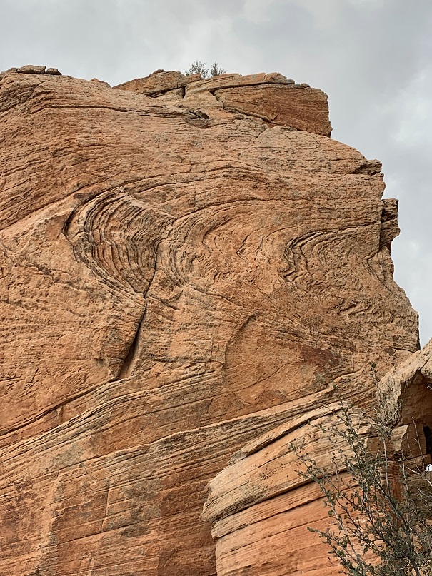 Lizard Head Forsythe Fold in Sedona