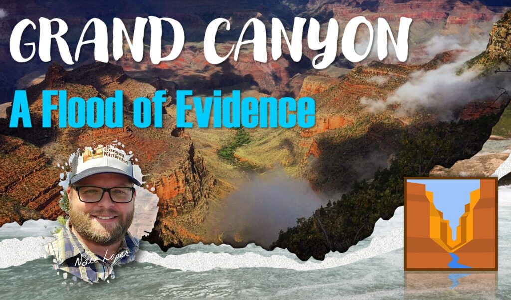 Grand Canyon A Flood of Evidence Nate Loper