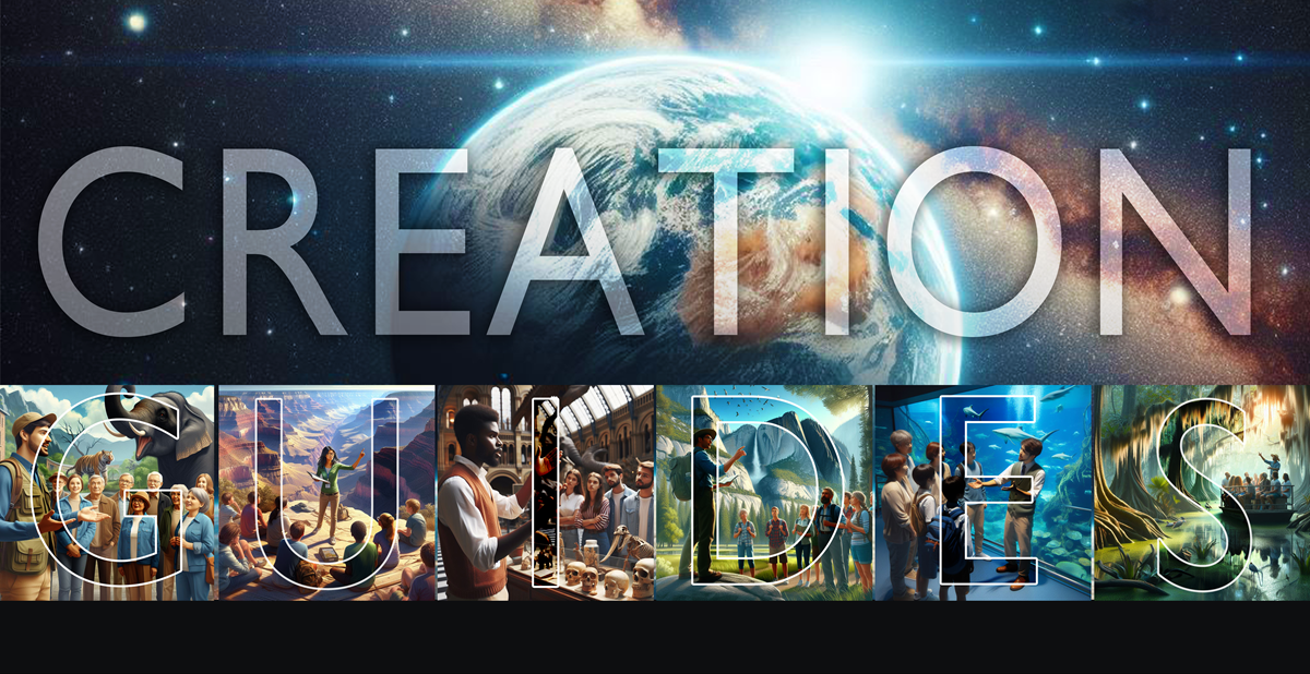 Creation Guides Banner