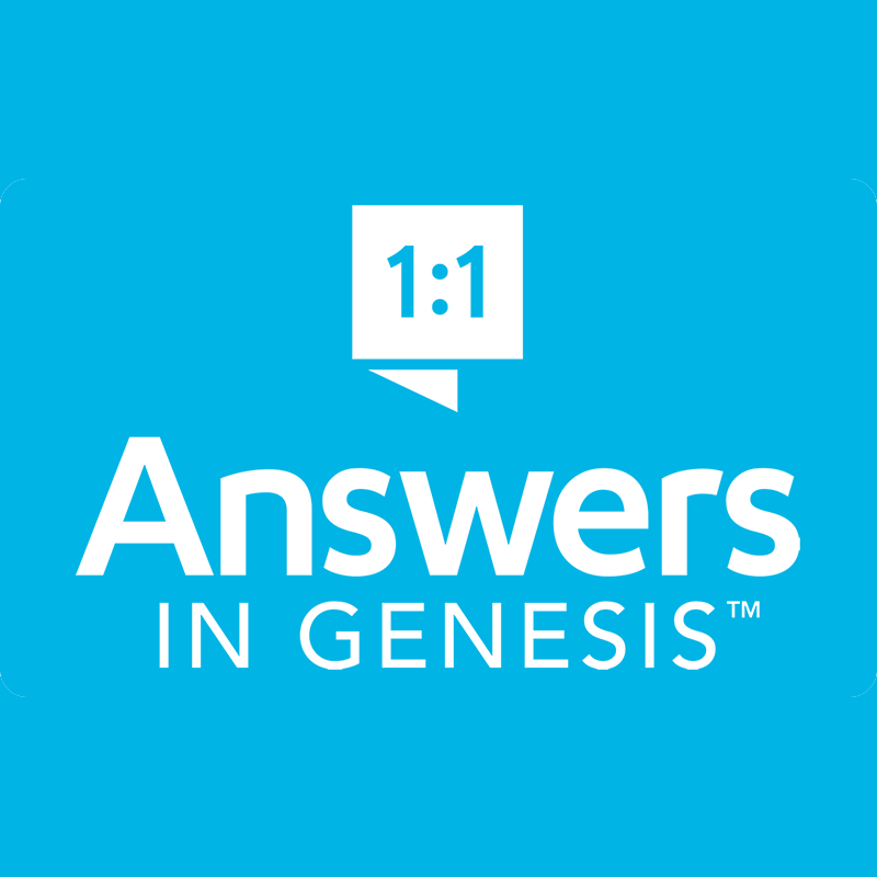 The image presents a blue backdrop with a white speech bubble that prominently features 1:1 above the text Answers in Genesis™ in white.