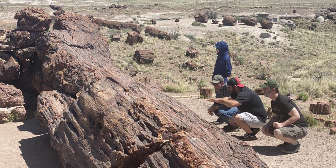 Petrified logs and desert landscape at Petrified Forest