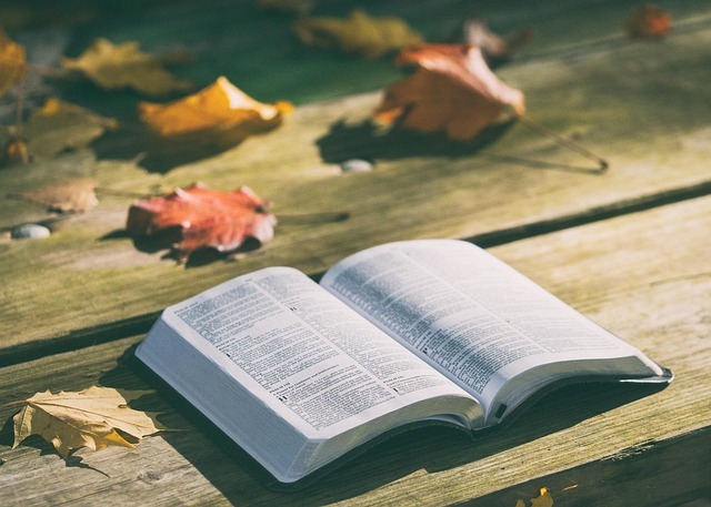 An open Bible rests on a wooden surface outdoors, surrounded by scattered autumn leaves in sunlight.
