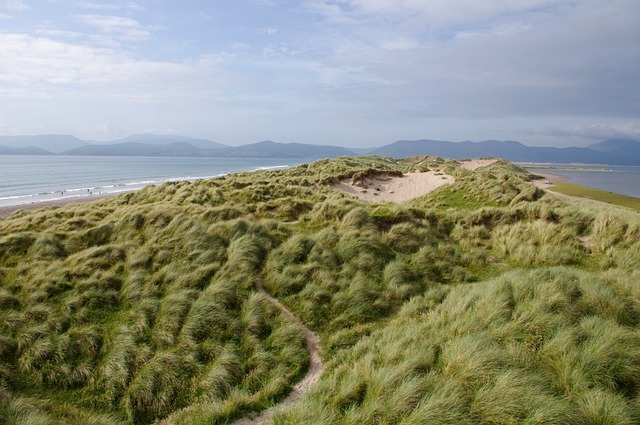 Grassy sand dunes line the coast, gentle waves beyond and massive mountains under a partly cloudy sky. A narrow path winds through.