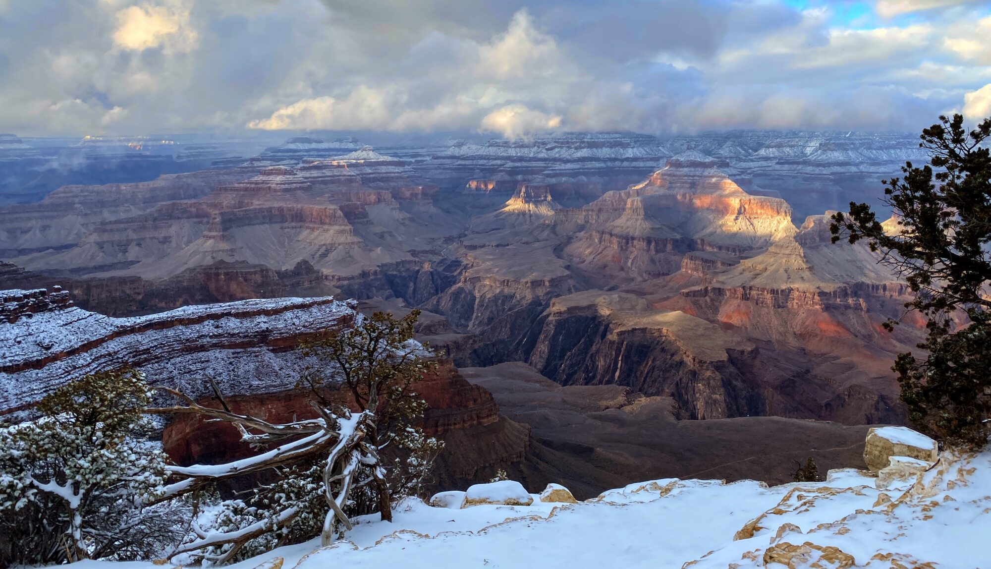 Snow blankets the Grand Canyon’s rocky rim under clouds, sunlight brightening dramatic cliffs and valleys amid wintry pine trees.