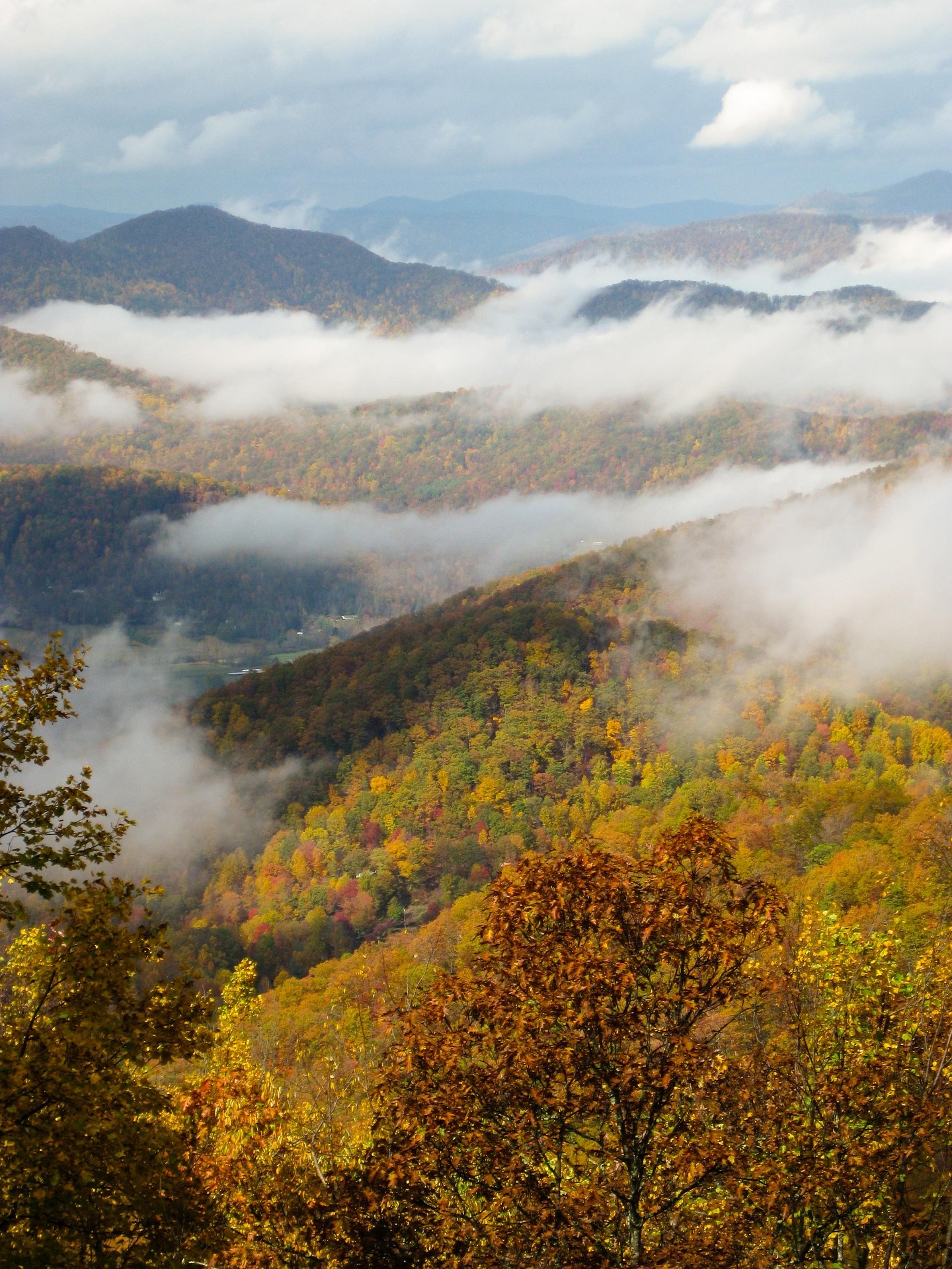 Fog weaves through massive rolling mountains blanketed in autumn trees, with vivid orange, yellow, and green under a cloudy sky.