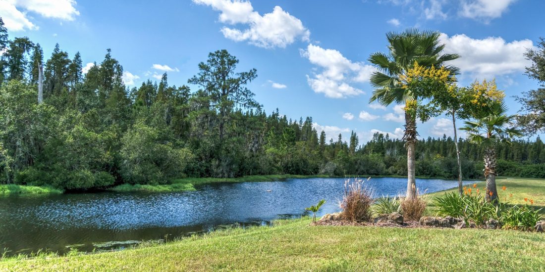 Florida landscape and exposed geology