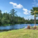 Florida landscape and exposed geology
