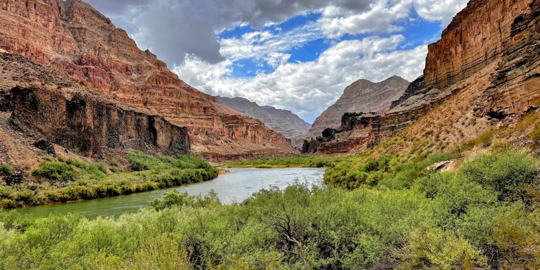 Grand Canyon habitat and layered landscape
