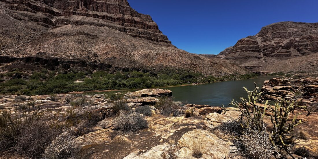 Cryptobiotic soil crust in Grand Canyon